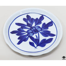  Dish