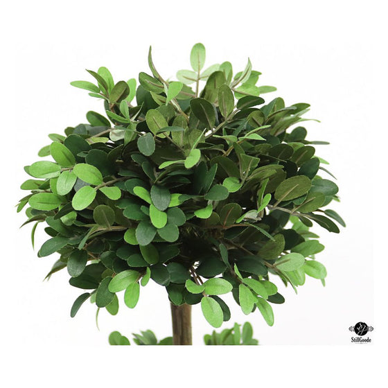 Topiary