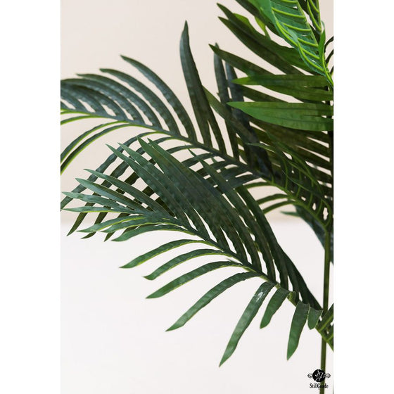 Silk Plant