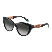  Tiffany & Co Sunglasses