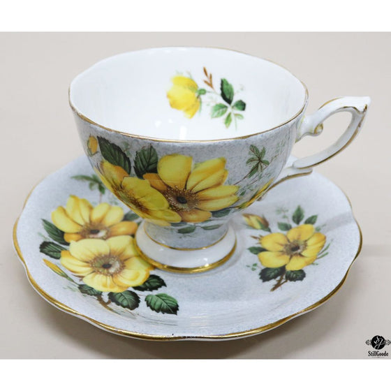 Royal Standard Cup & Saucer