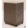 Kathy Ireland Filing Cabinet