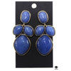 Ann Taylor Earrings